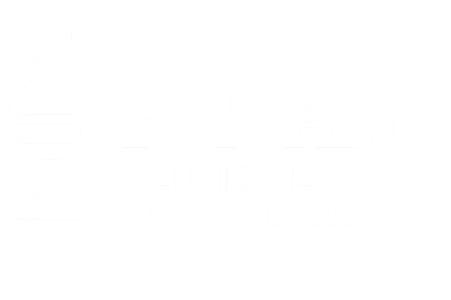 palo alto (1)